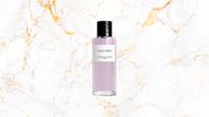 Gris Dior - Limited Edition (Image via Dior)
